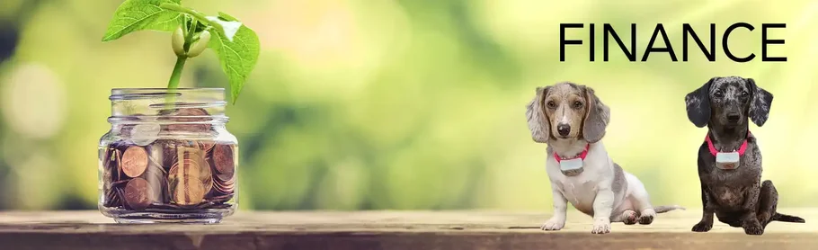 finance department banner