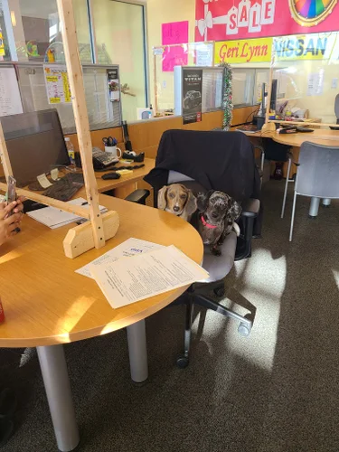 meet the pups gallery